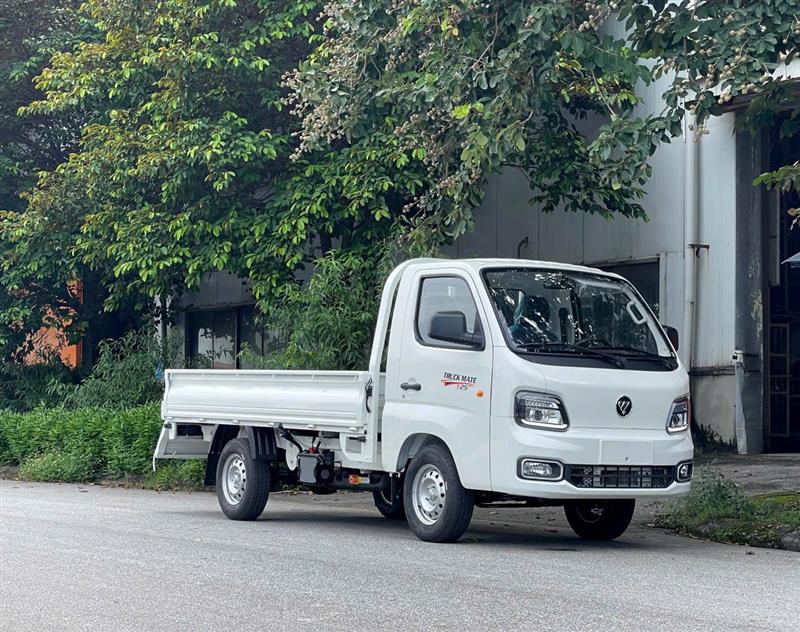 FOTON T25 990KG 2025